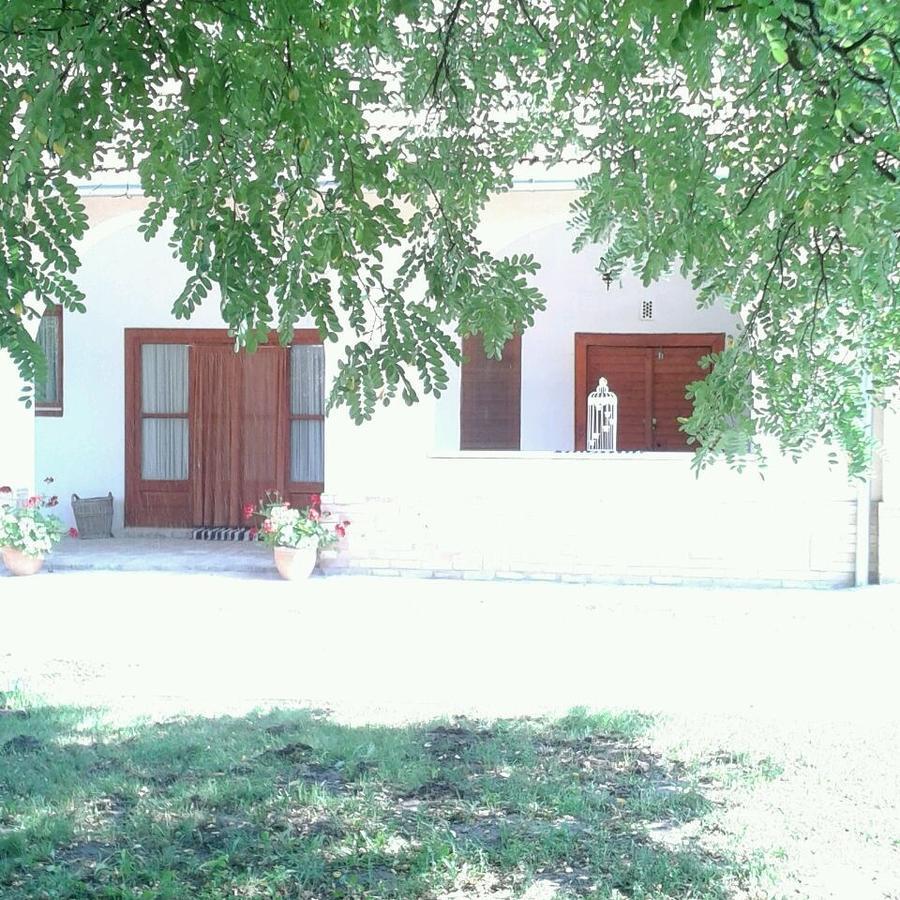 Resort La Tulipe Noire Ceglédbercel Kültér fotó